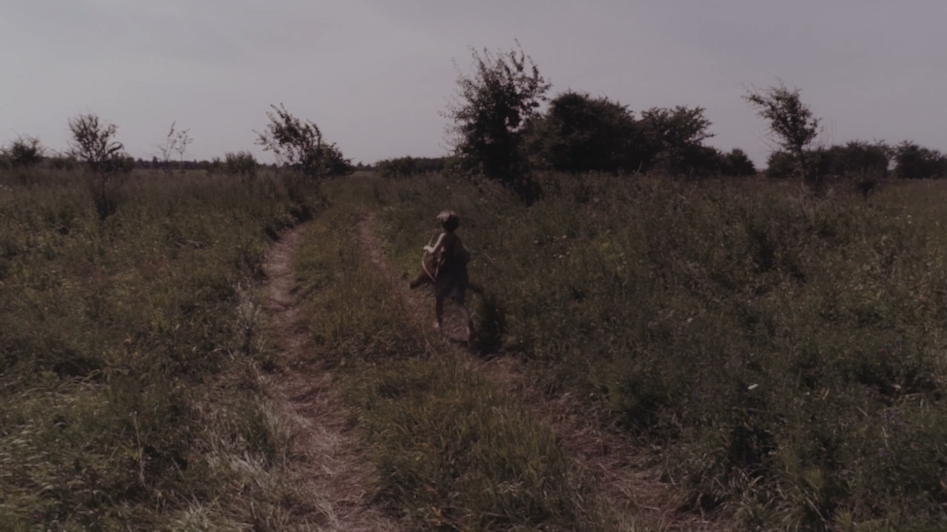 still 2025 11 29 112113 1.69.7