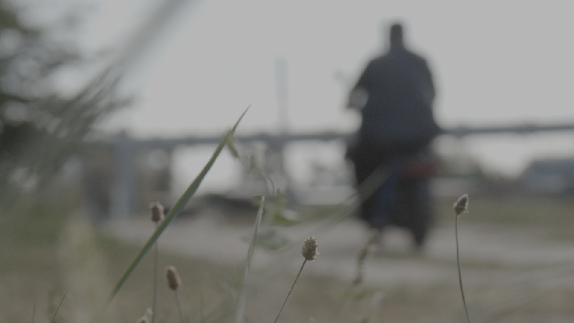 still 2025 11 29 112113 2.56.1